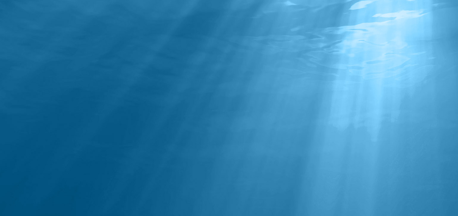 The Municipal Authority